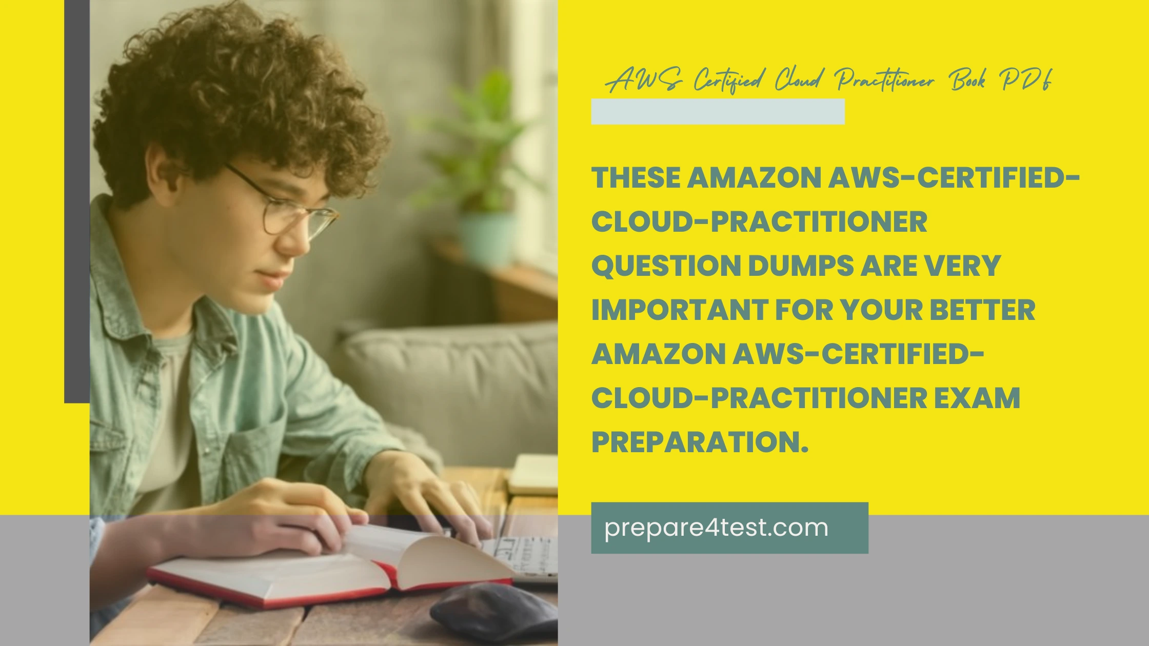 AWS Certified Cloud Practitioner Book PDF