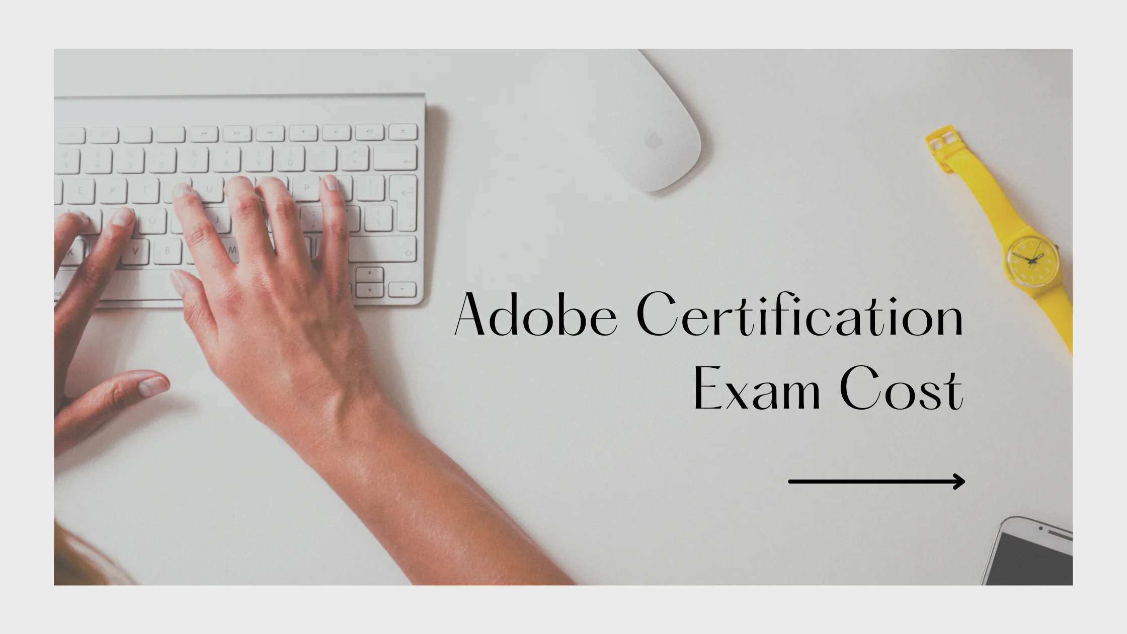 Adobe Certification Exam Cost success