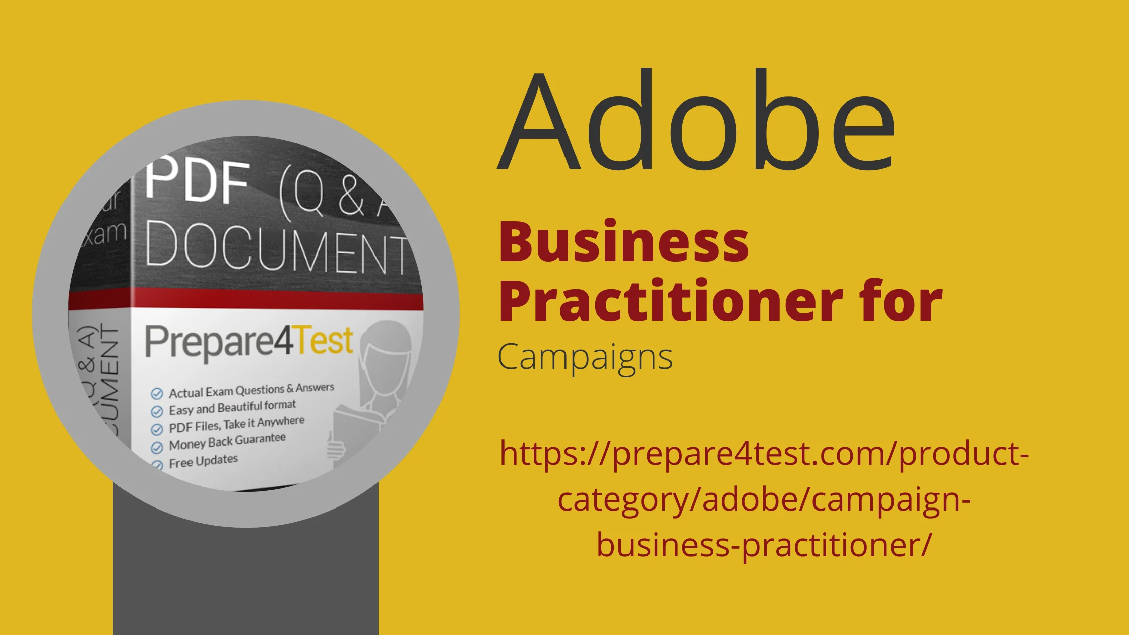 Business Practitioner for Campaigns